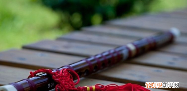 笛子先祖要多少蜡烛,光遇找一个先祖可以得几根蜡烛