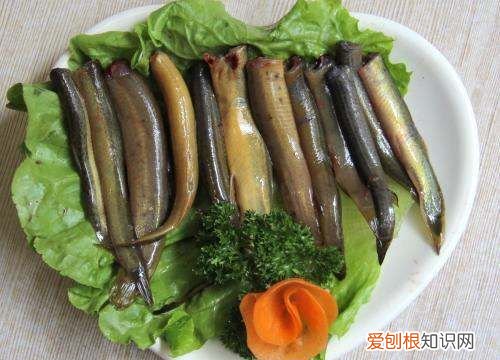 泥鳅有什么营养价值,泥鳅也是一种美食吗