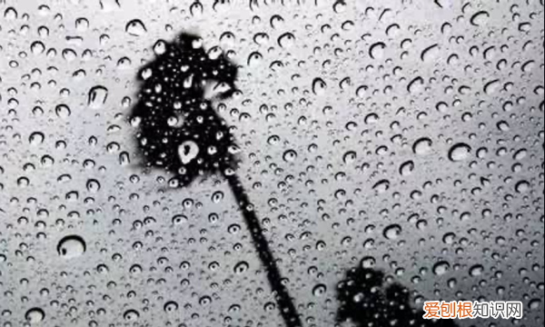 最佳答案 雨后春笋的比喻义是什么意思,雨后春笋意思是什么