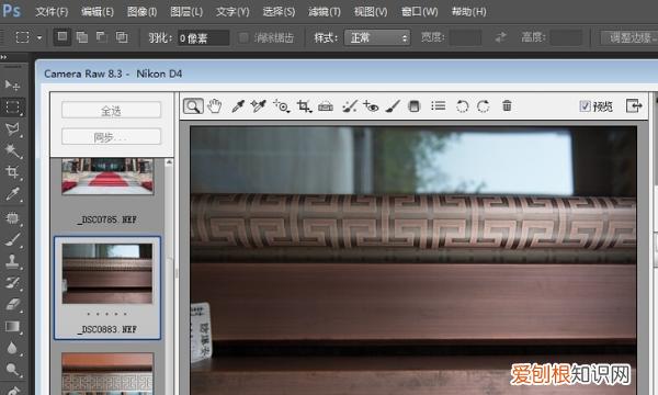 ps无法打开nef格式，nef格式的照片该咋进行打开