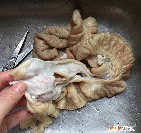 炒大肠可以用什么配菜,大肠可以和什么一起炒