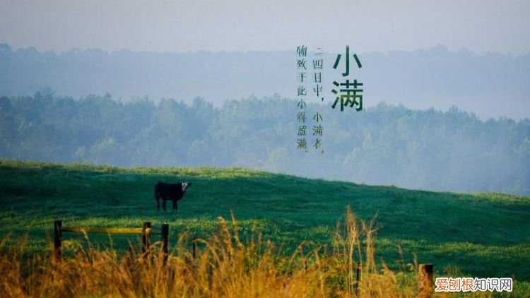 小满是什么意思，小满节气是什么意思几点