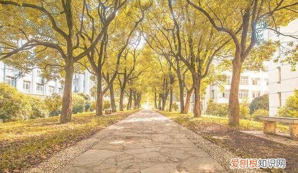 西安公办职高有哪些，陕西职高排名前十的是