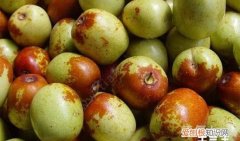 冬枣干瘪了还能吃吗，春天载了棵枣树到这时还没发芽咋办