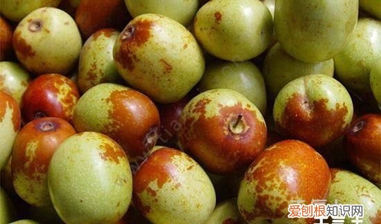 冬枣干瘪了还能吃吗,春天载了棵枣树到这时还没发芽咋办