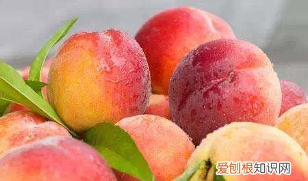 什么时候是吃桃子的季节，桃子一般在什么季节可以吃呢