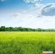 如何简单捣蒜泥，怎样做蒜泥好吃能久存