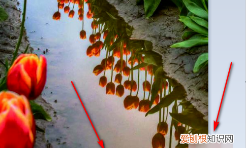 画图工具要咋调整大小，画图工具怎么调整图片大小