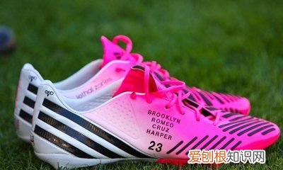 期货lpg是什么品种，ag是什么品种的牛种