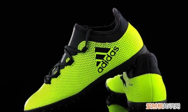 期货lpg是什么品种，ag是什么品种的牛种