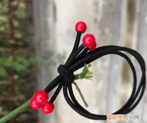 为什么小皮筋要在可乐里泡三天