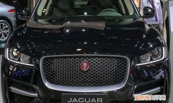 带狮子的标标志是什么车,带狮子头的汽车标志是什么车