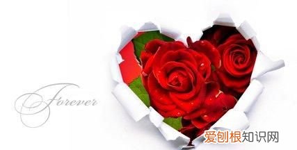 男女之间送礼物的含义,男人给女人送礼物有什么含义