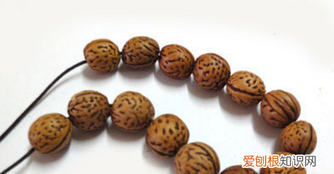 速进，金刚菩提加隔片的小技巧