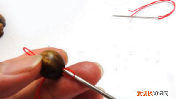 速进,金刚菩提加隔片的小技巧