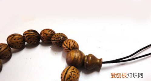 速进,金刚菩提加隔片的小技巧