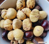 家庭版炒鸡做法，家常炒鸡的做法最正宗的做法