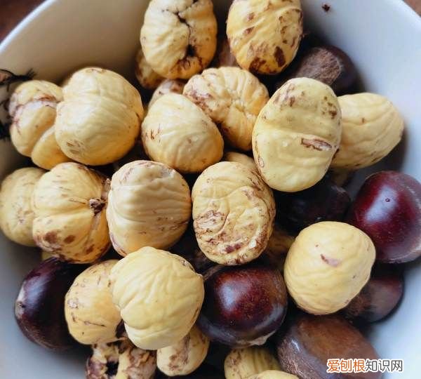 家庭版炒鸡做法，家常炒鸡的做法最正宗的做法