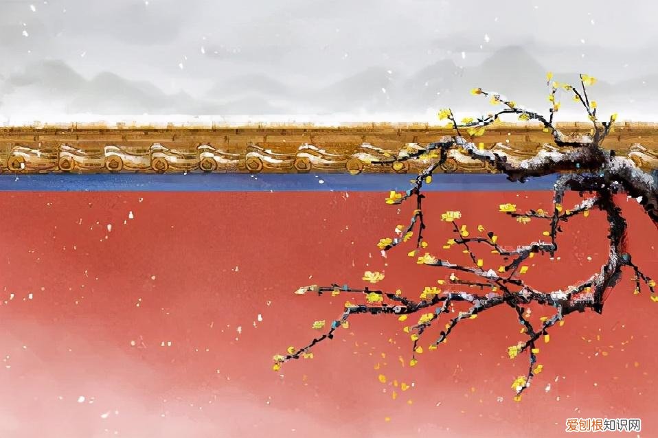 光绪最宠爱的珍妃，她的美容传说