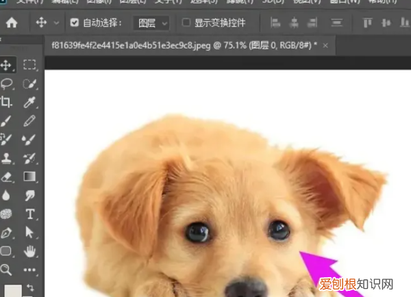 ps怎么放大缩小图片，PS放大缩小的4种方法