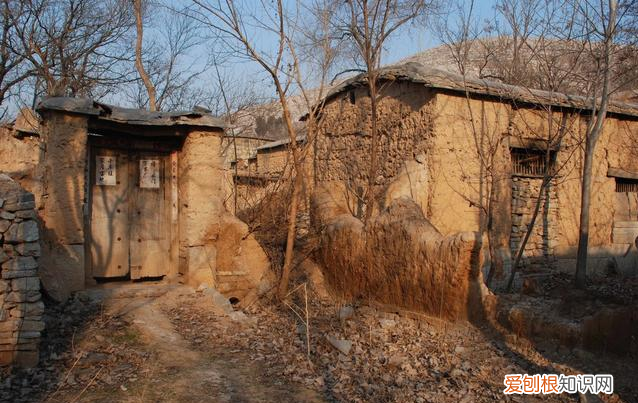 王二傻的桃花运全部作品