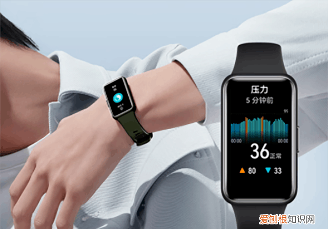 华为和小米手环建议买哪个,小米手环6华为手机能连么
