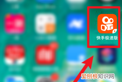 快手极速版如何下载,怎么查看快手极速版的金币明细