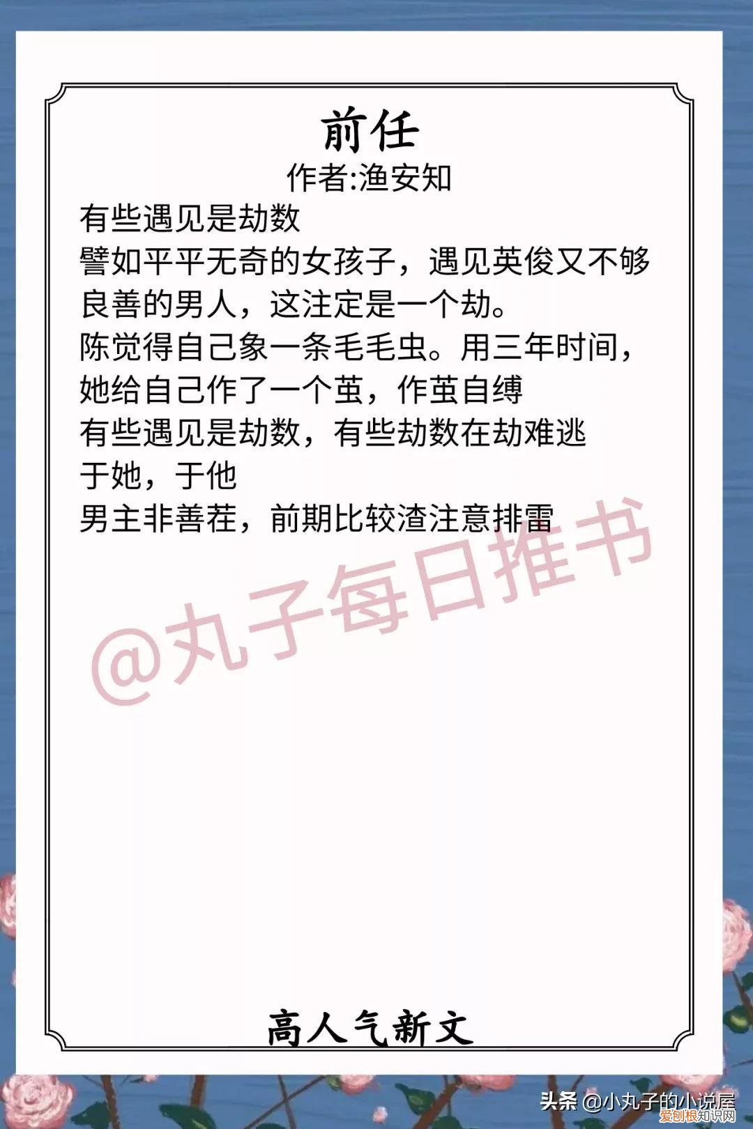 飞蛾沈逢春好看吗