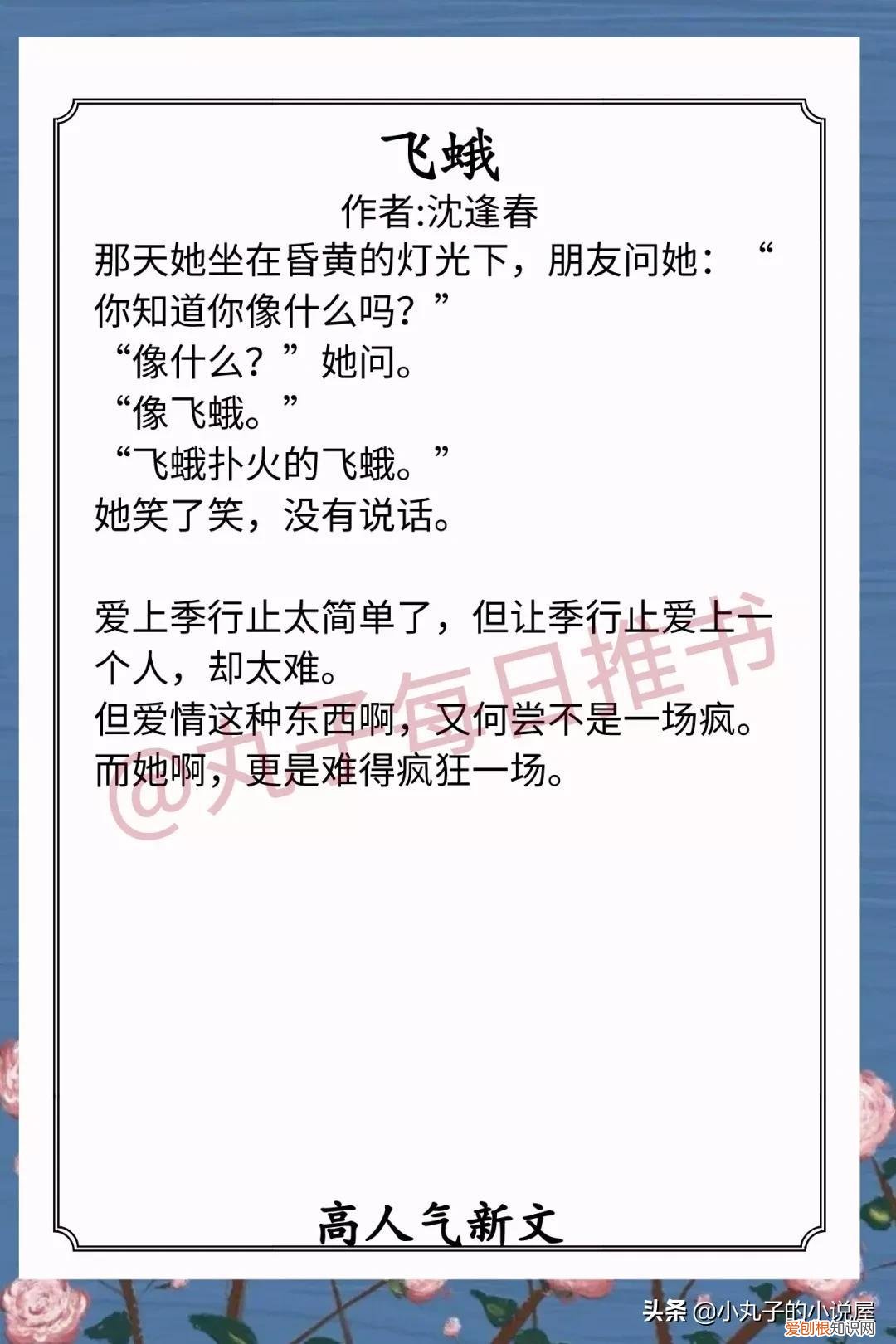 飞蛾沈逢春好看吗