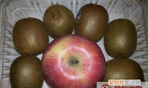 软了的猕猴桃可以放冰箱吗