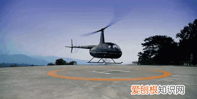 四川熊猫基地在成都哪里