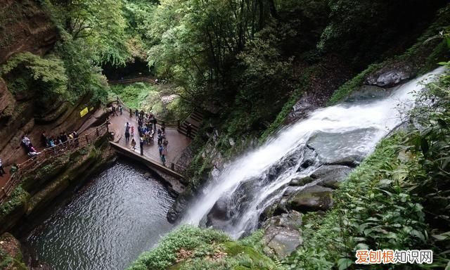 四川熊猫基地在成都哪里