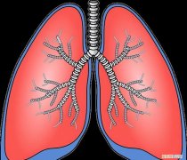 二陈丸价格多少钱一盒