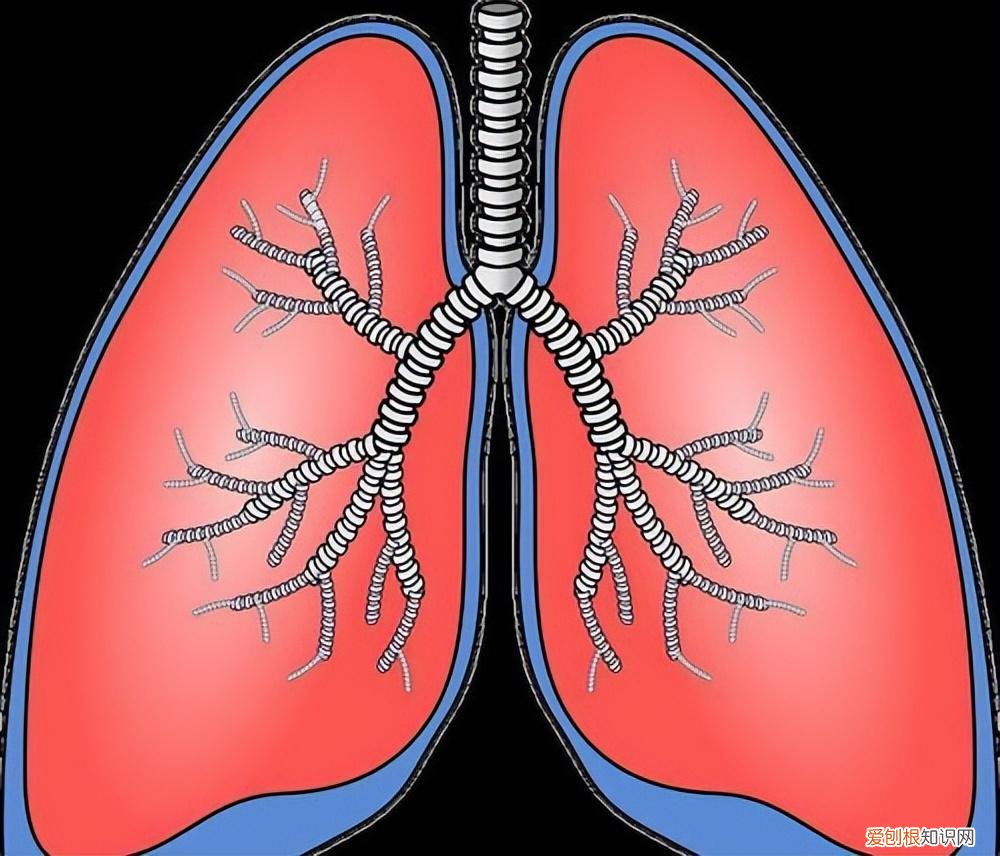 二陈丸价格多少钱一盒