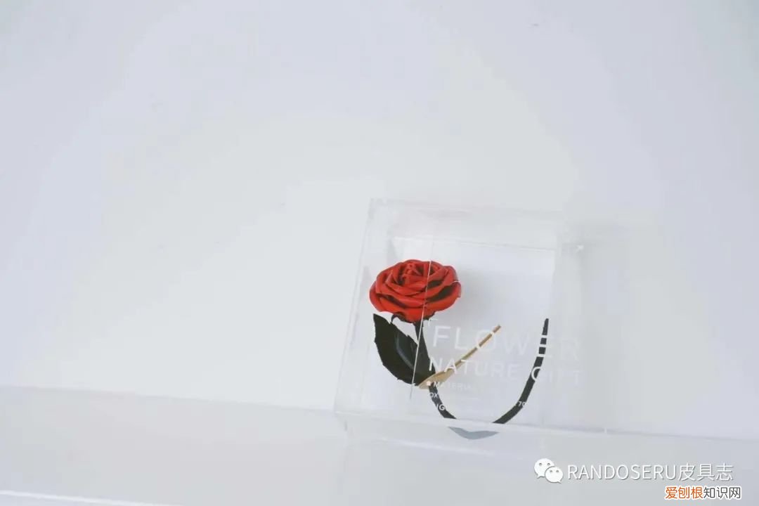 520怎么摆脱土掉渣的礼物以及直男称号，送一朵“永生花”