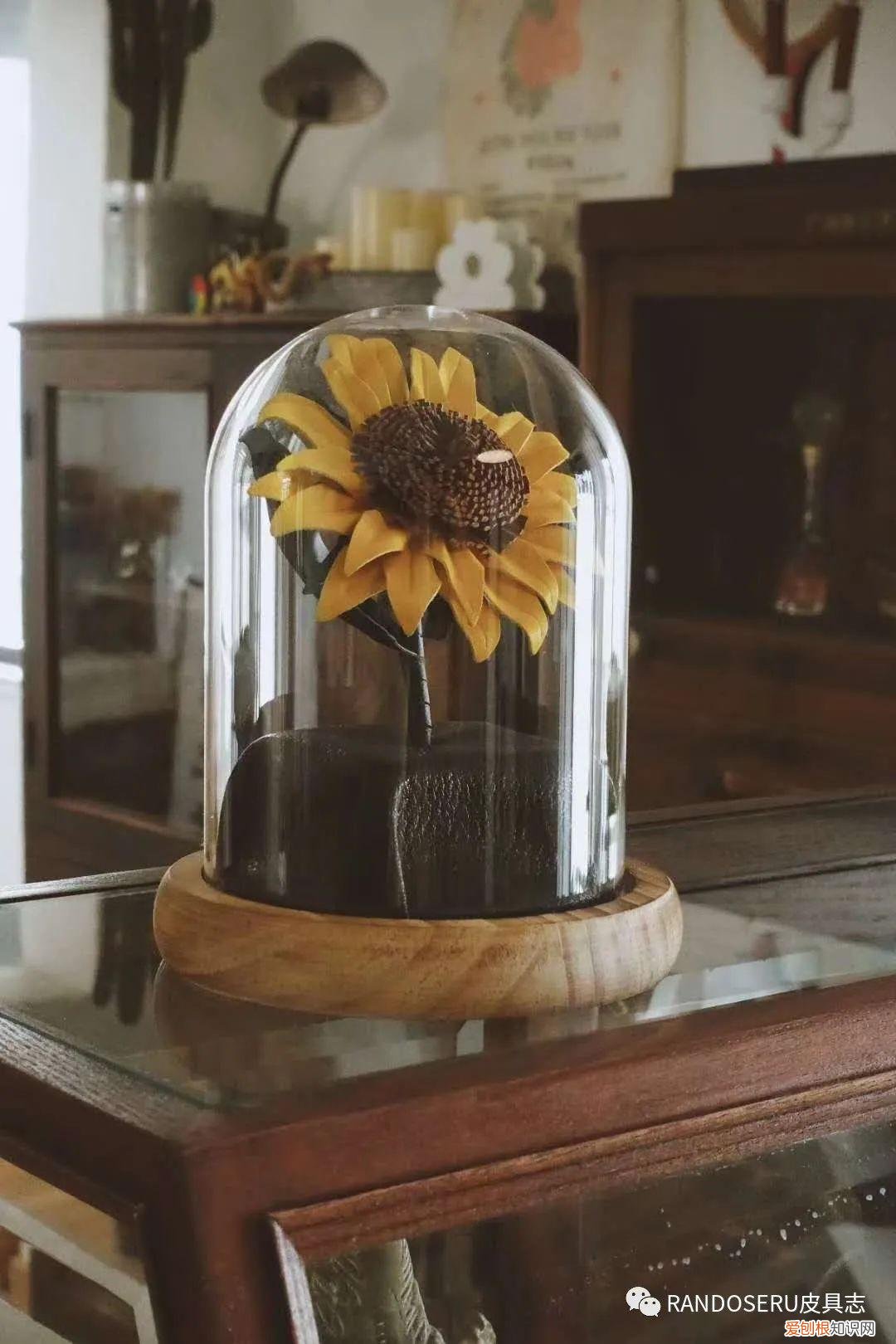 520怎么摆脱土掉渣的礼物以及直男称号，送一朵“永生花”