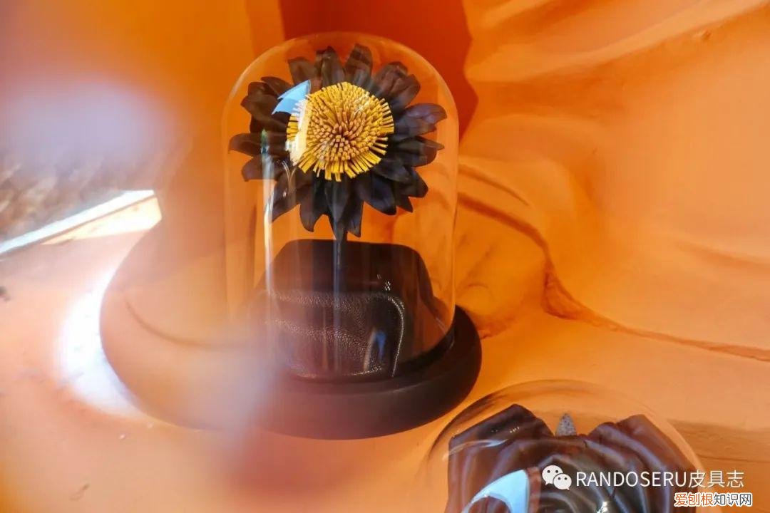 520怎么摆脱土掉渣的礼物以及直男称号，送一朵“永生花”