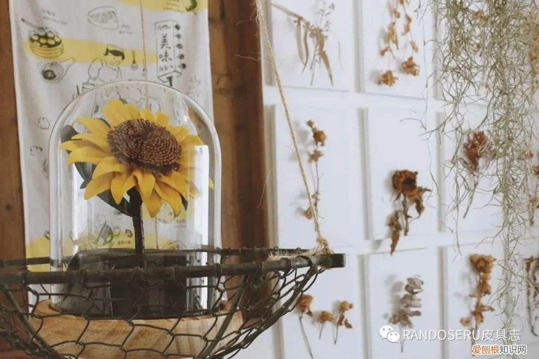 520怎么摆脱土掉渣的礼物以及直男称号，送一朵“永生花”