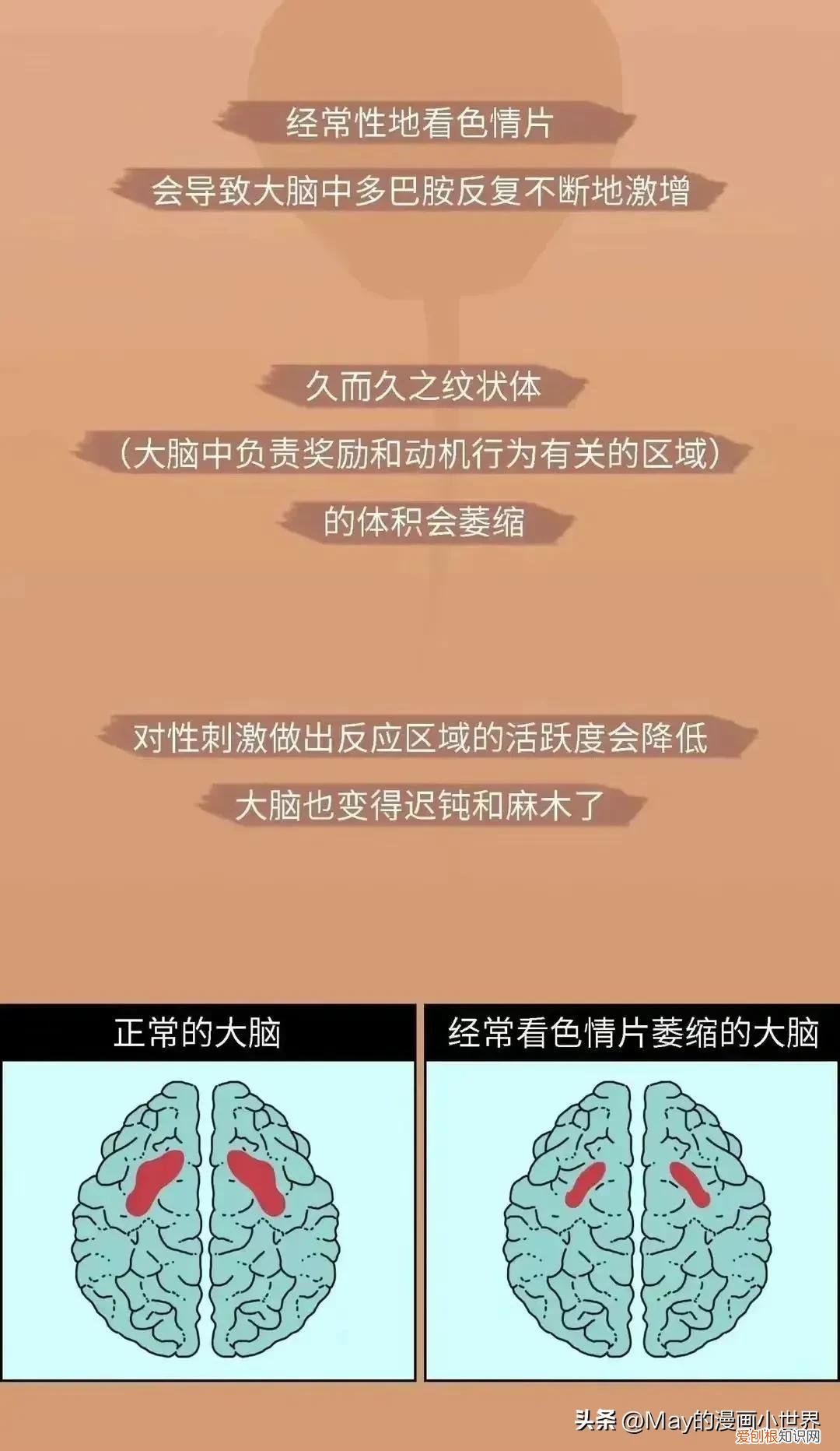 你看过成人电影吗？你知道看成人网站会造成怎样的心理伤害吗？(图文带你涨姿势）