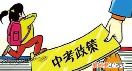 高中三位一体是什么，高考三位一体是什么意思