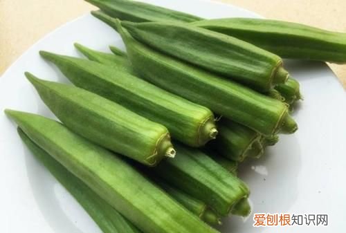 怎样辨别秋葵坏了,秋葵没催芽就播种了还能发芽