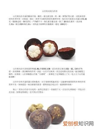 肉竹功效与作用是什么