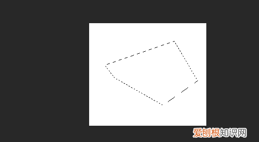 ps该咋反选,ps中为什么反选了整个背景