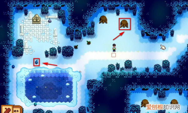 星露谷物语硬木哪里刷，星露谷物语硬木在哪里多