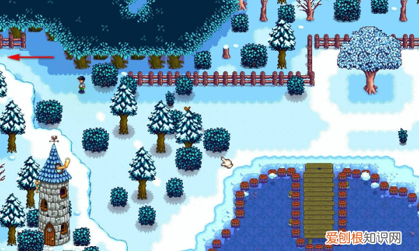 星露谷物语硬木哪里刷，星露谷物语硬木在哪里多