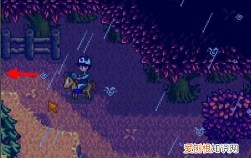 星露谷物语硬木哪里刷，星露谷物语硬木在哪里多