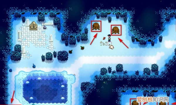 星露谷物语硬木哪里刷，星露谷物语硬木在哪里多