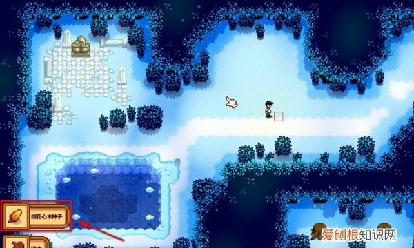 星露谷物语硬木哪里刷，星露谷物语硬木在哪里多