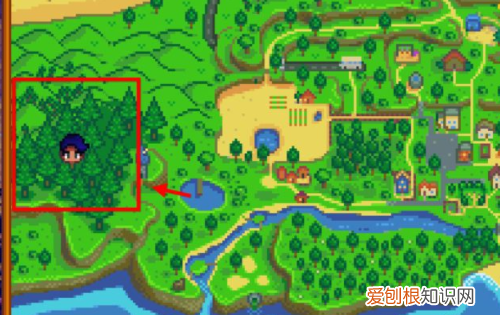 星露谷物语硬木哪里刷，星露谷物语硬木在哪里多