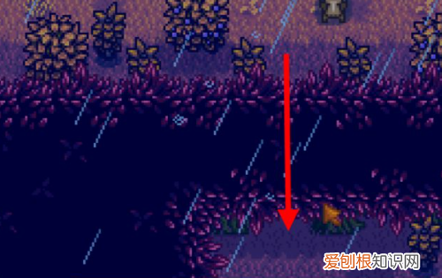 星露谷物语硬木哪里刷，星露谷物语硬木在哪里多